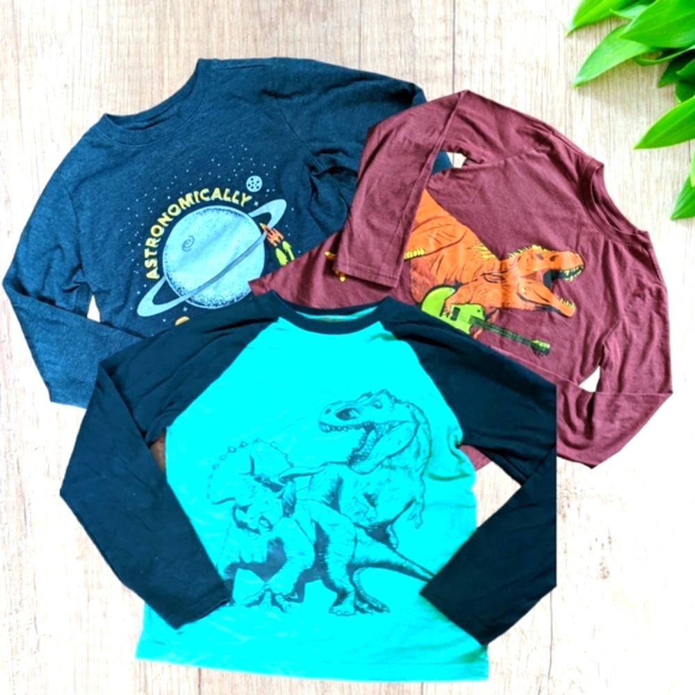 Boy Long Sleeve Dinosaur Tees Clothes Bundle Size M (8/10)